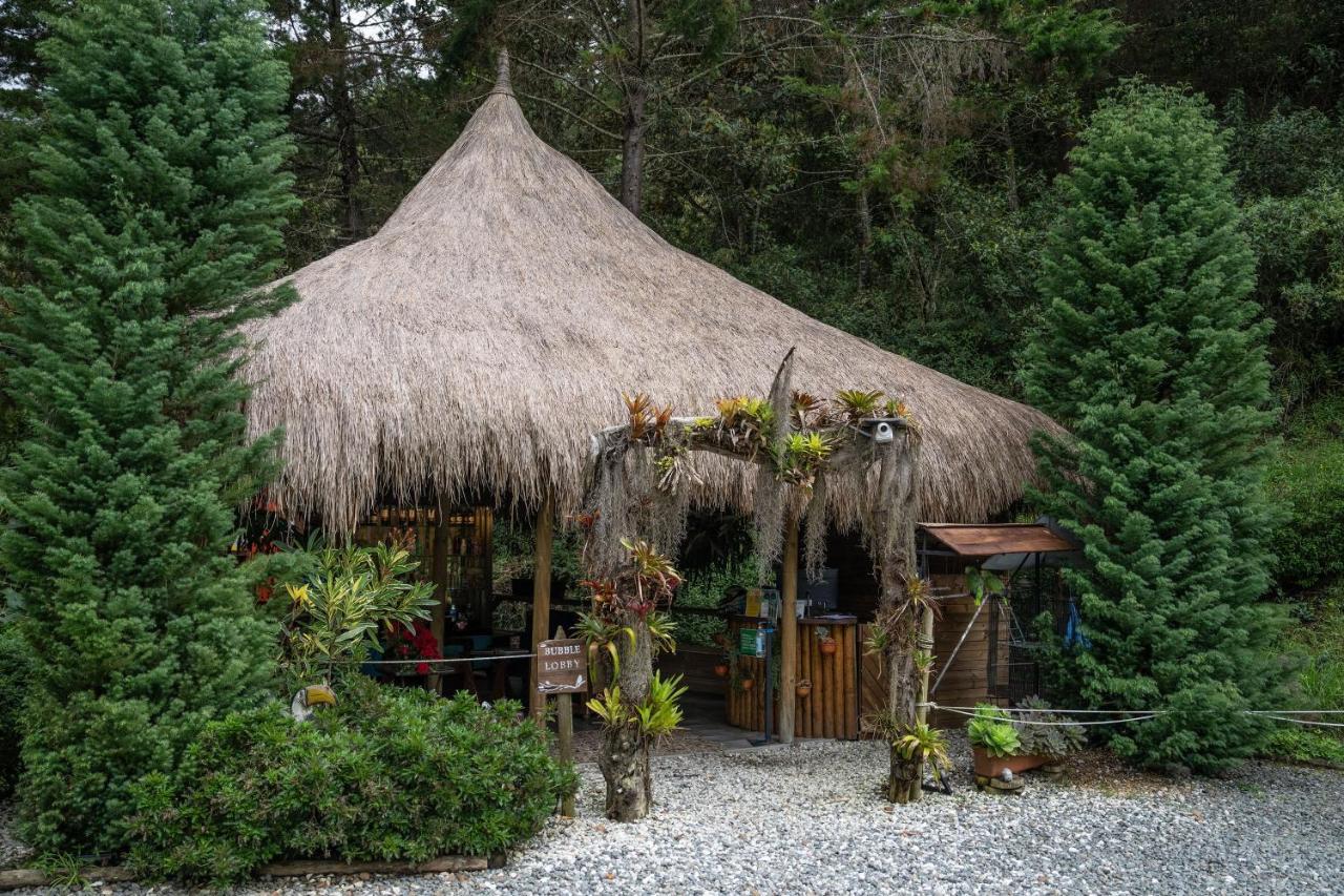 Bubblesky Glamping 40 Min From Medellin Hotel เอล เรติโร ภายนอก รูปภาพ