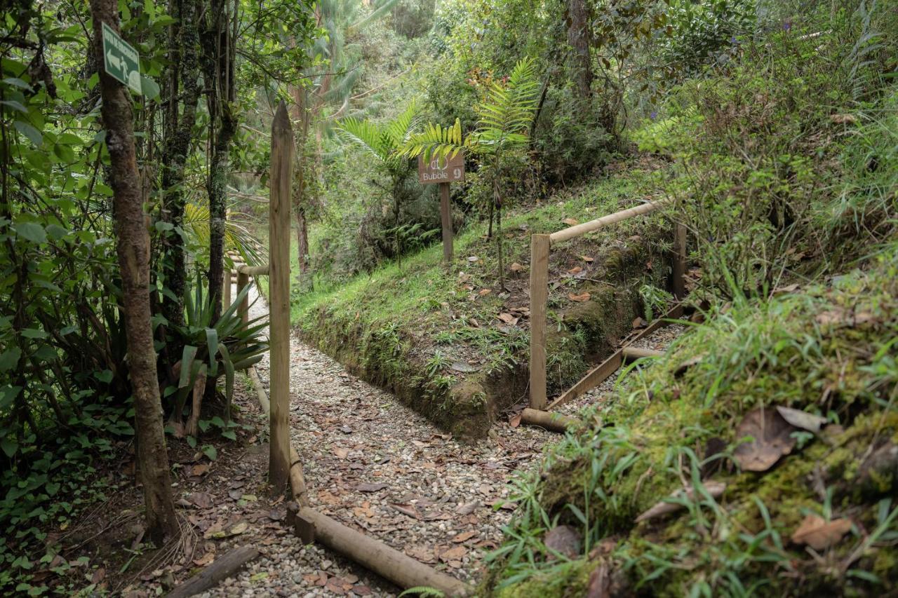 Bubblesky Glamping 40 Min From Medellin Hotel เอล เรติโร ภายนอก รูปภาพ