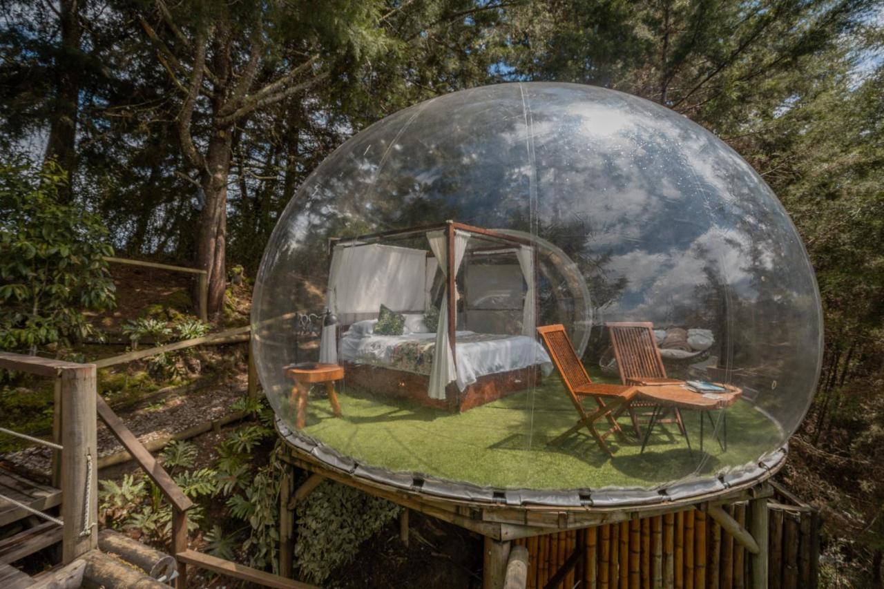 Bubblesky Glamping 40 Min From Medellin Hotel เอล เรติโร ภายนอก รูปภาพ