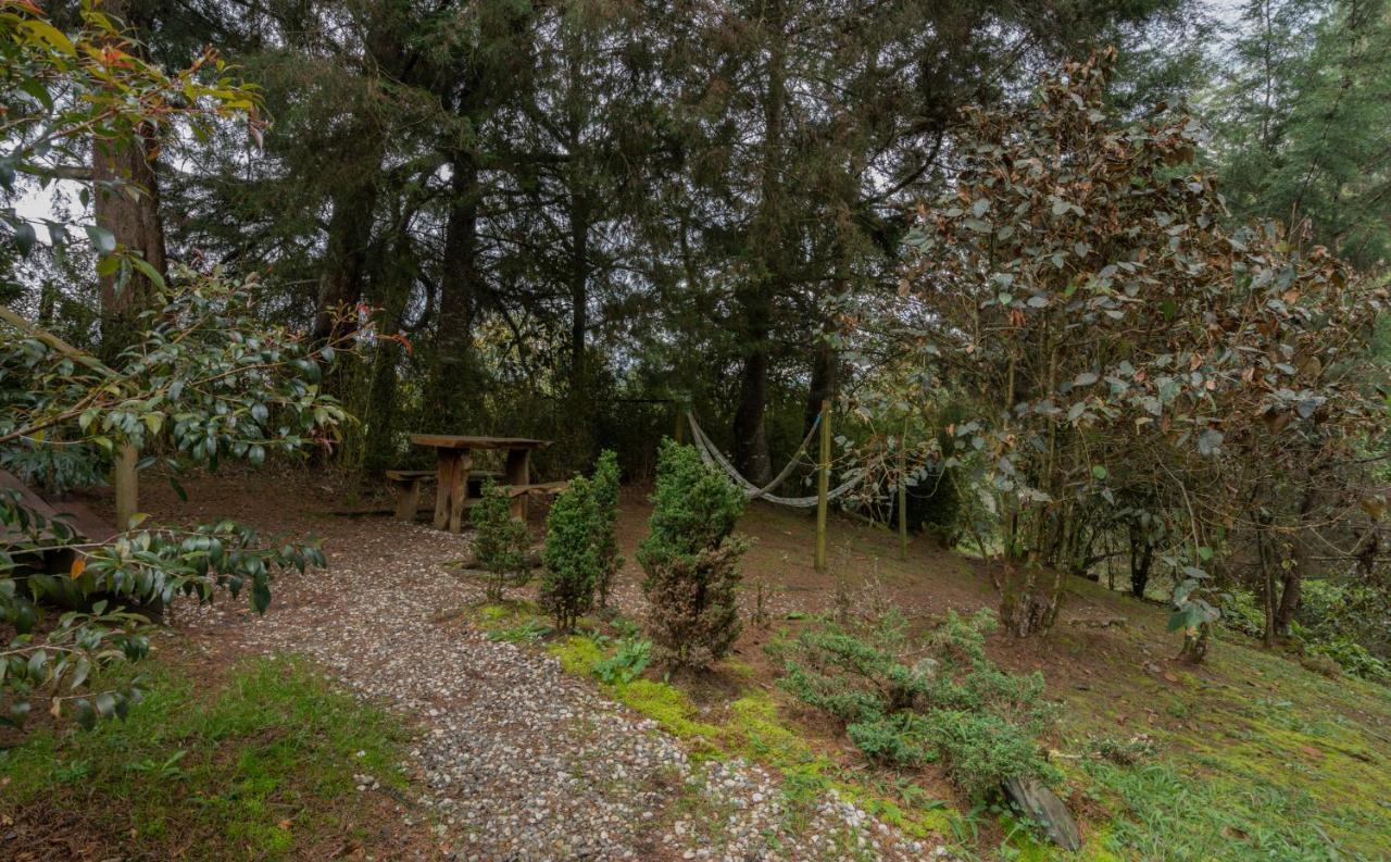 Bubblesky Glamping 40 Min From Medellin Hotel เอล เรติโร ภายนอก รูปภาพ