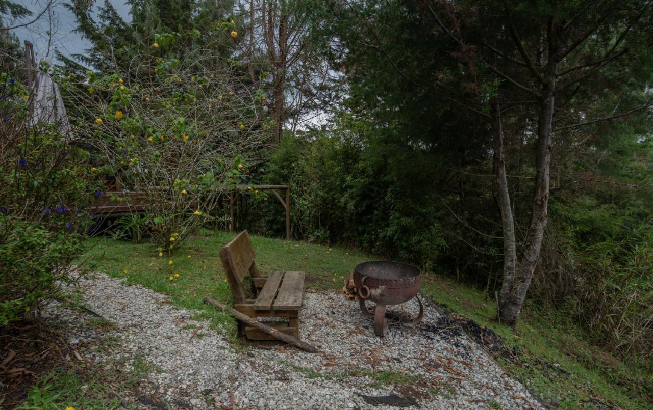 Bubblesky Glamping 40 Min From Medellin Hotel เอล เรติโร ภายนอก รูปภาพ