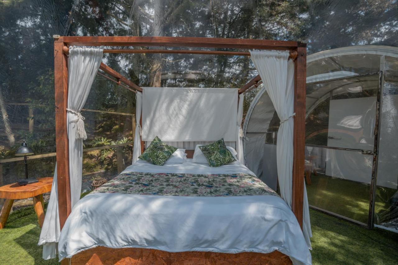 Bubblesky Glamping 40 Min From Medellin Hotel เอล เรติโร ภายนอก รูปภาพ
