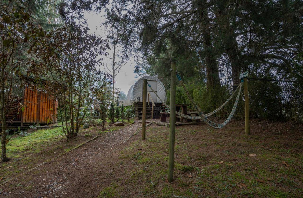 Bubblesky Glamping 40 Min From Medellin Hotel เอล เรติโร ภายนอก รูปภาพ